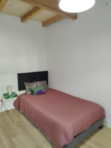 Adorable Single Bedroom close to Faculty of Medicine