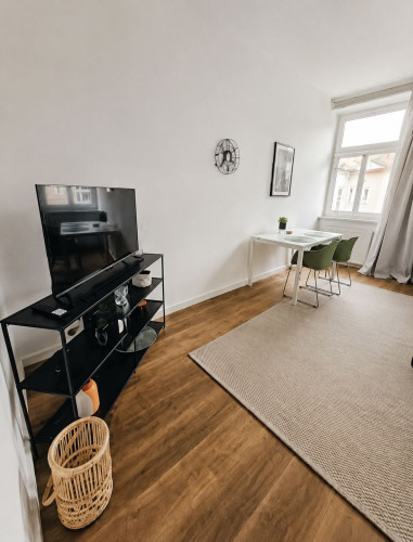 Great, well-maintained apartment