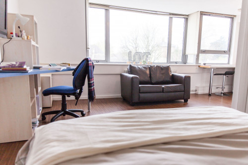 Holly Court - Gallery - 15