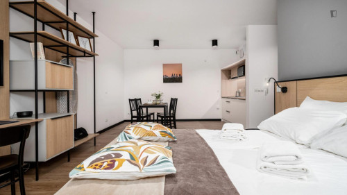 Very appealing studio in the Praga neighbourhood