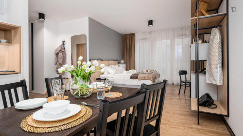 Very appealing studio in the Praga neighbourhood - Gallery - 5