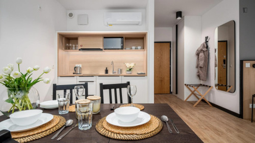 Very appealing studio in the Praga neighbourhood