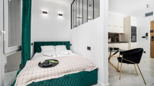 Attractive studio near the famous Palace of Culture and Science 