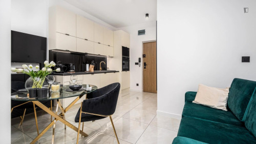 Attractive studio near the famous Palace of Culture and Science 