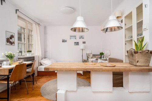 Inviting studio in the Mariensztat area