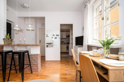 Inviting studio in the Mariensztat area