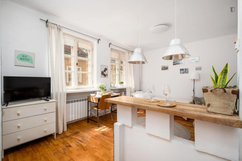 Inviting studio in the Mariensztat area