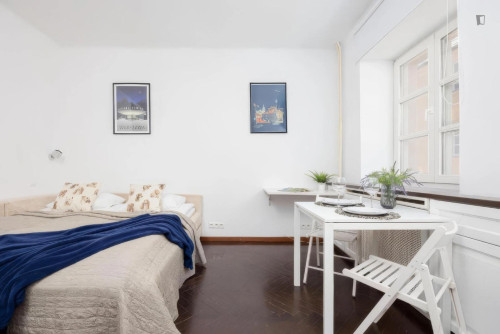 Appealing and big studio in Mariensztat