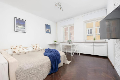 Appealing and big studio in Mariensztat