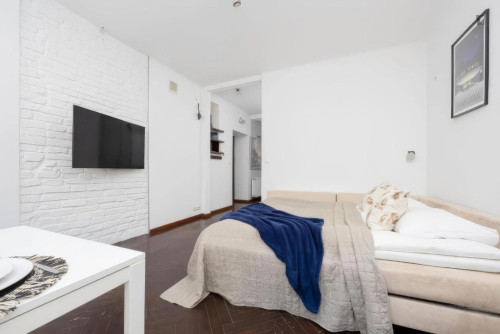 Appealing and big studio in Mariensztat