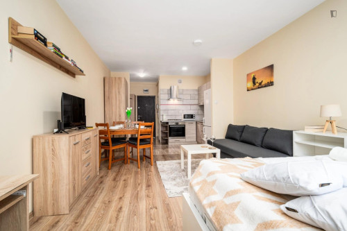 Spacious studio in the Sady Żoliborskie district