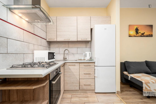 Spacious studio in the Sady Żoliborskie district - Gallery - 5