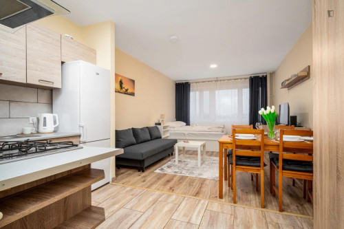 Spacious studio in the Sady Żoliborskie district