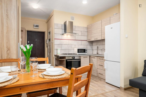 Spacious studio in the Sady Żoliborskie district