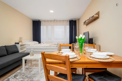 Spacious studio in the Sady Żoliborskie district