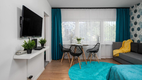 Charming studio in Wrzeciono