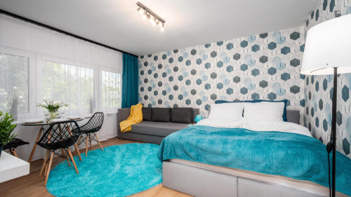 Charming studio in Wrzeciono