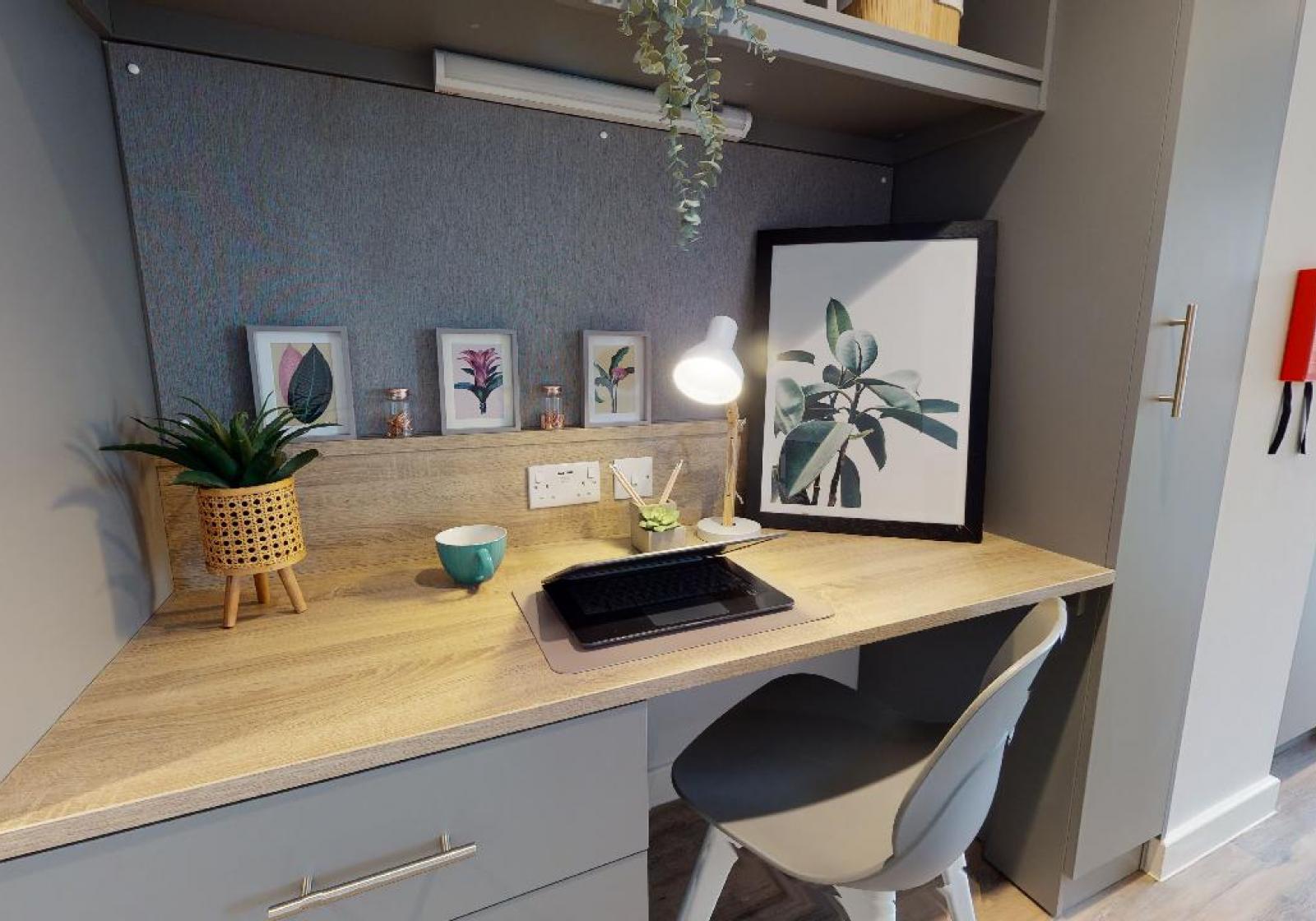  Bronze Studio  -  Altus House  - Gallery -  3