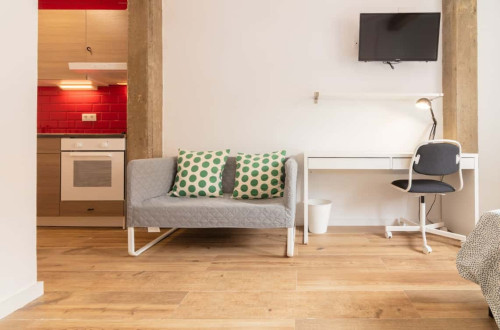 Habitación 1 - 01. Pintor Stolz 34 P9