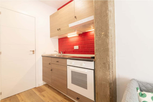 Habitación 1 - 01. Pintor Stolz 34 P9