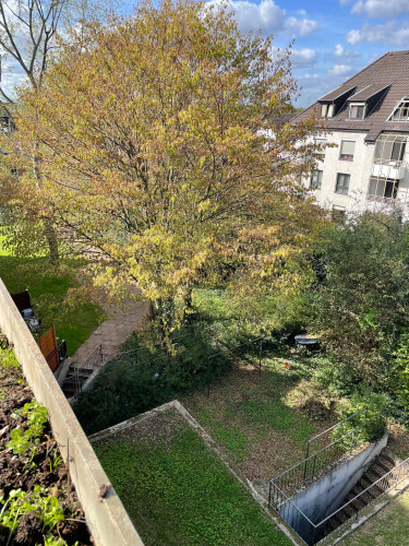 Beautiful apartment in Troisdorf - Gallery - 5