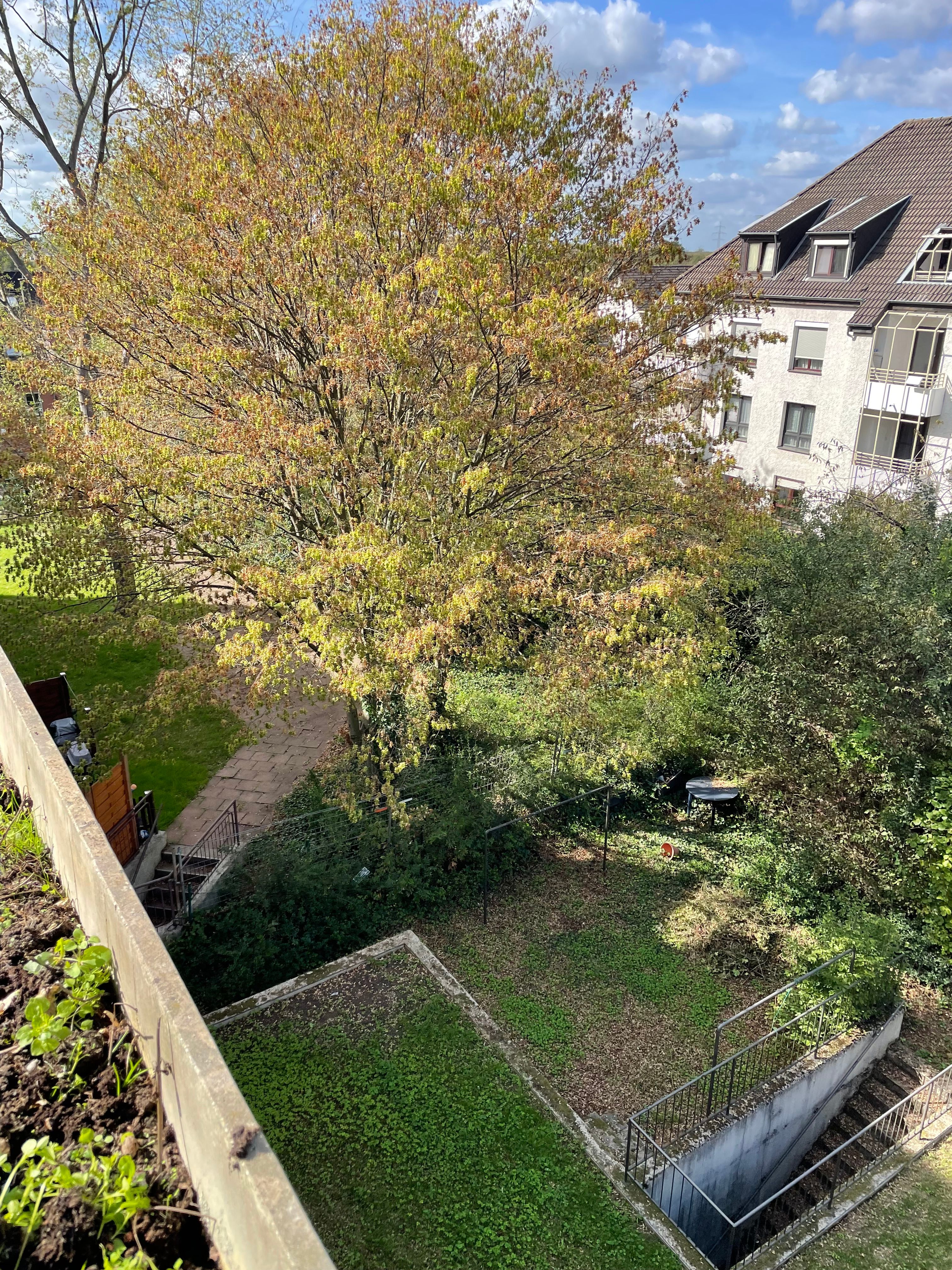 Beautiful Apartment In Troisdorf - 3