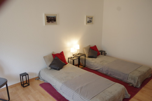 Business Apartment between Frankfurt and Hanau – 5 minutes walk to the train station, approx. 30 minutes to Frankfurt Central Station, own parking space, terrace, home office, ideal for expats, project staff and families - Gallery - 31