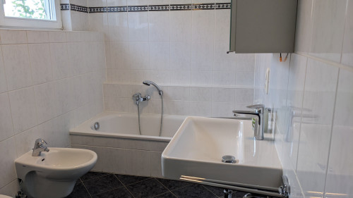 Business Apartment between Frankfurt and Hanau – 5 minutes walk to the train station, approx. 30 minutes to Frankfurt Central Station, own parking space, terrace, home office, ideal for expats, project staff and families - Gallery - 6