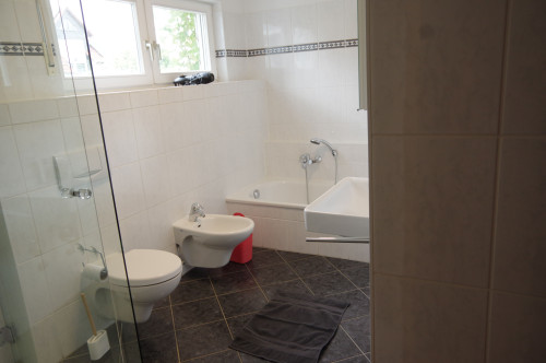 Business Apartment between Frankfurt and Hanau – 5 minutes walk to the train station, approx. 30 minutes to Frankfurt Central Station, own parking space, terrace, home office, ideal for expats, project staff and families - Gallery - 3