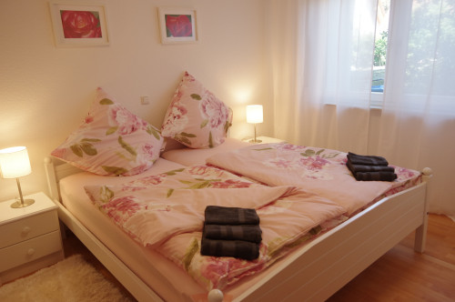 Business Apartment between Frankfurt and Hanau – 5 minutes walk to the train station, approx. 30 minutes to Frankfurt Central Station, own parking space, terrace, home office, ideal for expats, project staff and families