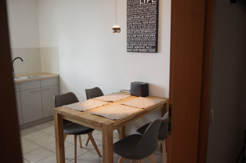 Business Apartment between Frankfurt and Hanau – 5 minutes walk to the train station, approx. 30 minutes to Frankfurt Central Station, own parking space, terrace, home office, ideal for expats, project staff and families - Gallery - 2