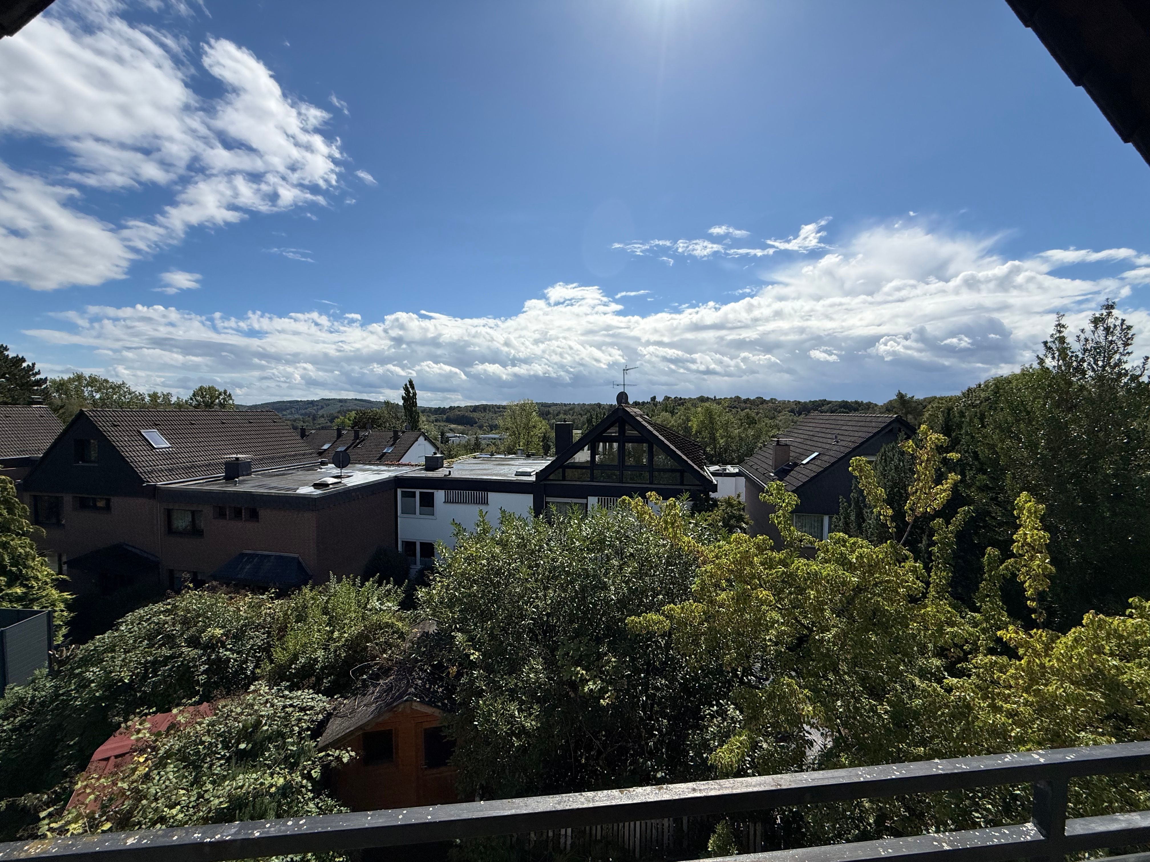 Exclusive Furnished 180 Sqm House With Garden & Balconies In Bergisch Gladbach - 11