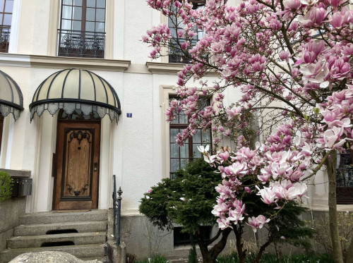 Exclusive Heritage Maisonette with Loggia at "Am Staden" – Quiet & Prime Location