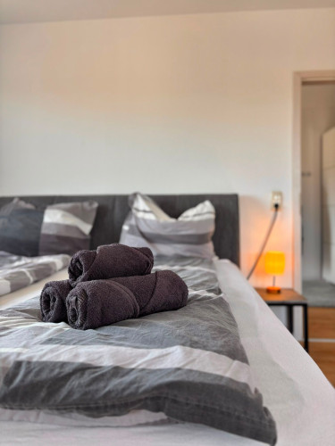 Penthouse apartment at Ostpark Rüsselsheim am Main - Gallery - 12