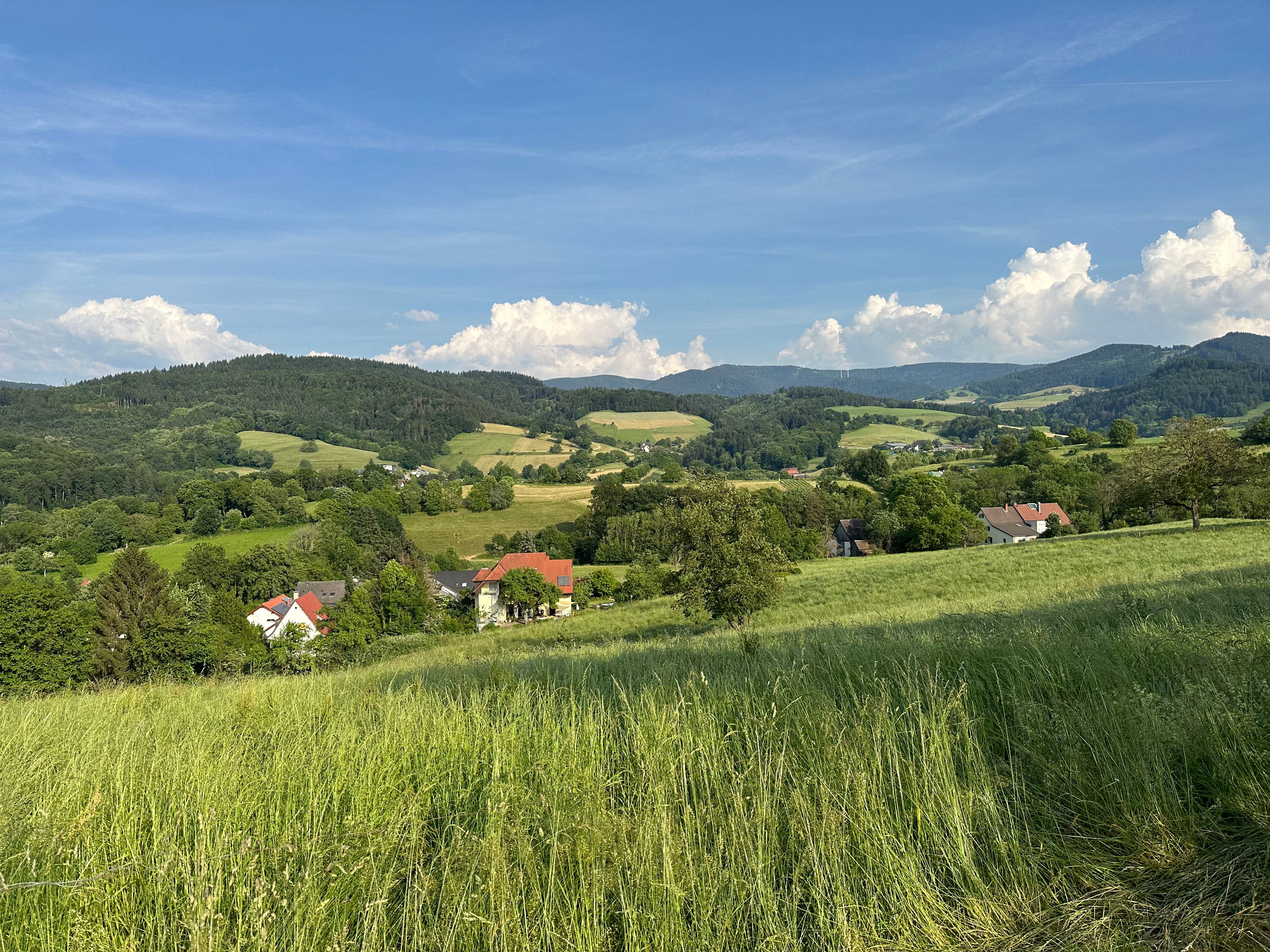 Spacious Garden Apartment On Schönberg Hill - 2