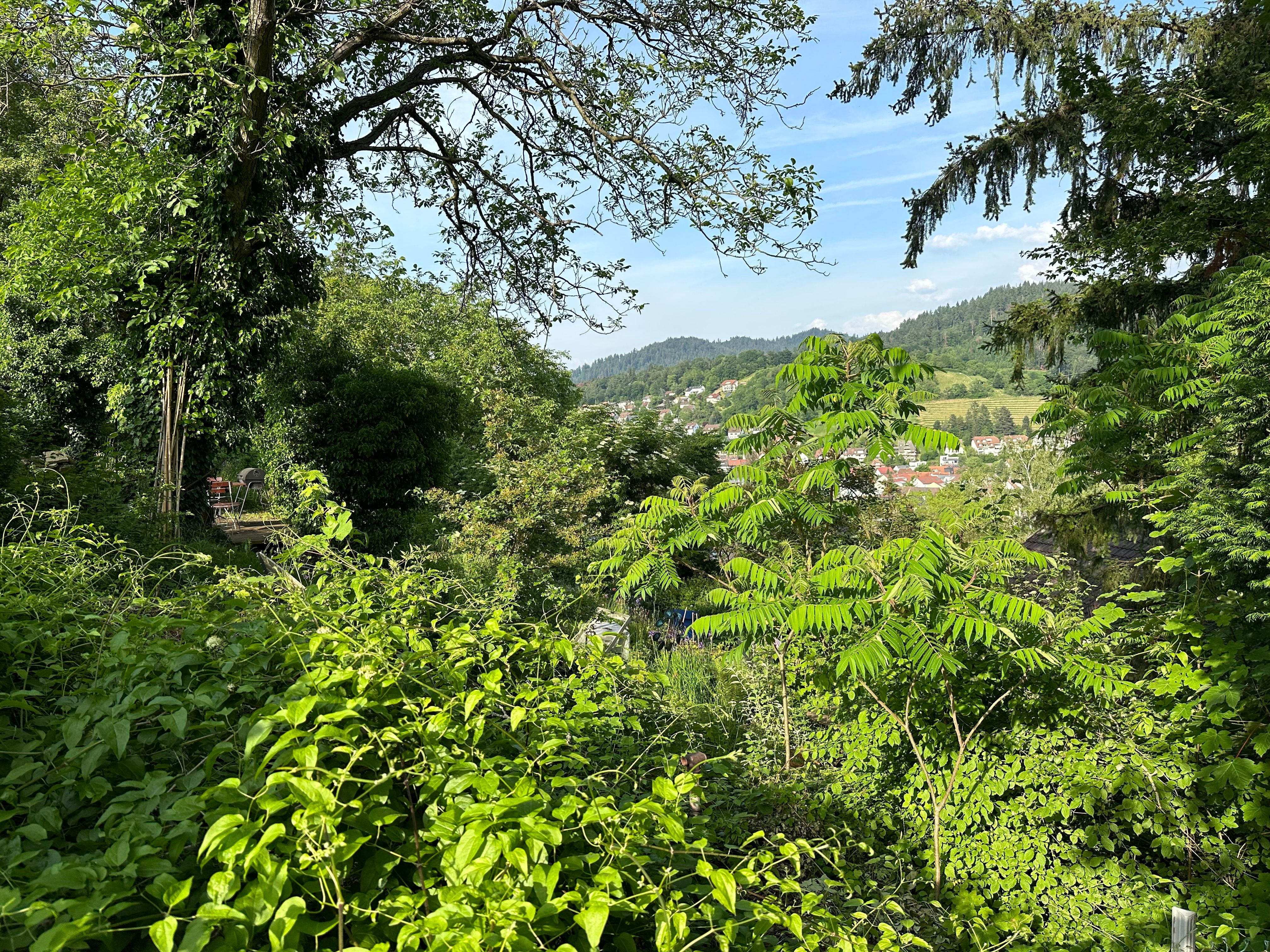 Spacious Garden Apartment On Schönberg Hill - 3