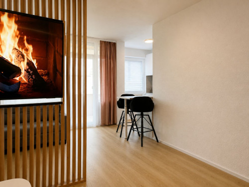 Furnished 35 m² Apartment – Short-term Rental in Biberach