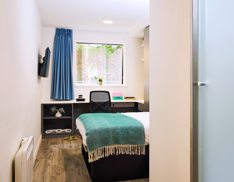  كلاستر  -  فيتا ستيودنت يورك  - Gallery -  3