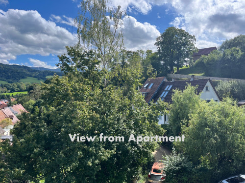 Spacious Panoramic Penthouse Flat - Gallery - 9