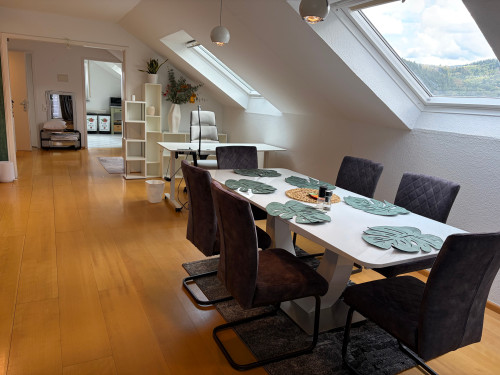 Spacious Panoramic Penthouse Flat