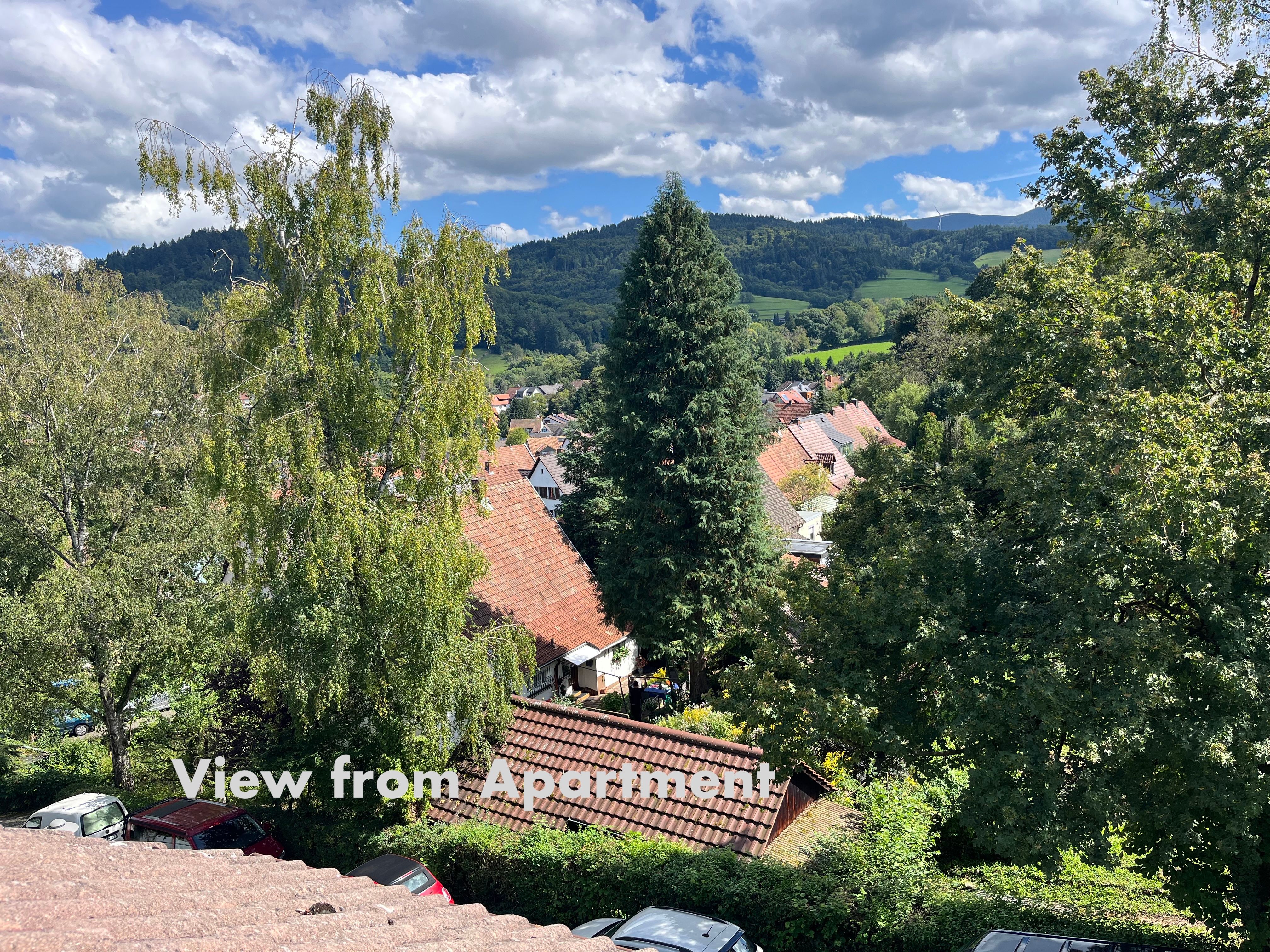 Spacious Panoramic Penthouse Flat - 9