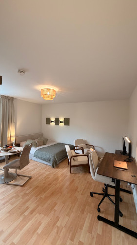Newly Renovated & Fully Furnished Apartment – Directly at Düsseldorf Central Station