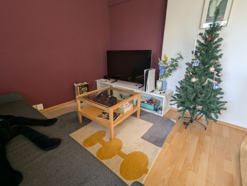 Beautiful apartment with two balconies and fantastic view in Düsseldorf - Gallery - 19