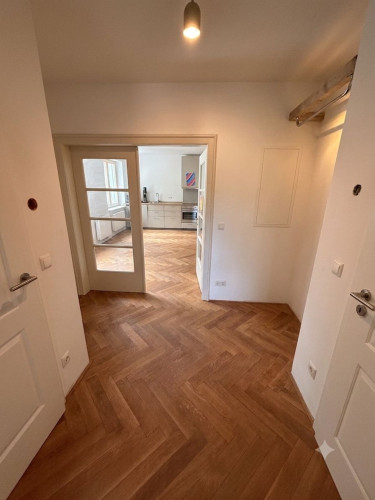 Charming apartment in Freiburg im Breisgau - Gallery - 2