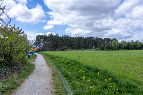 Cozy furnished family home with garden – quiet location close to Erlangen - Gallery - 26