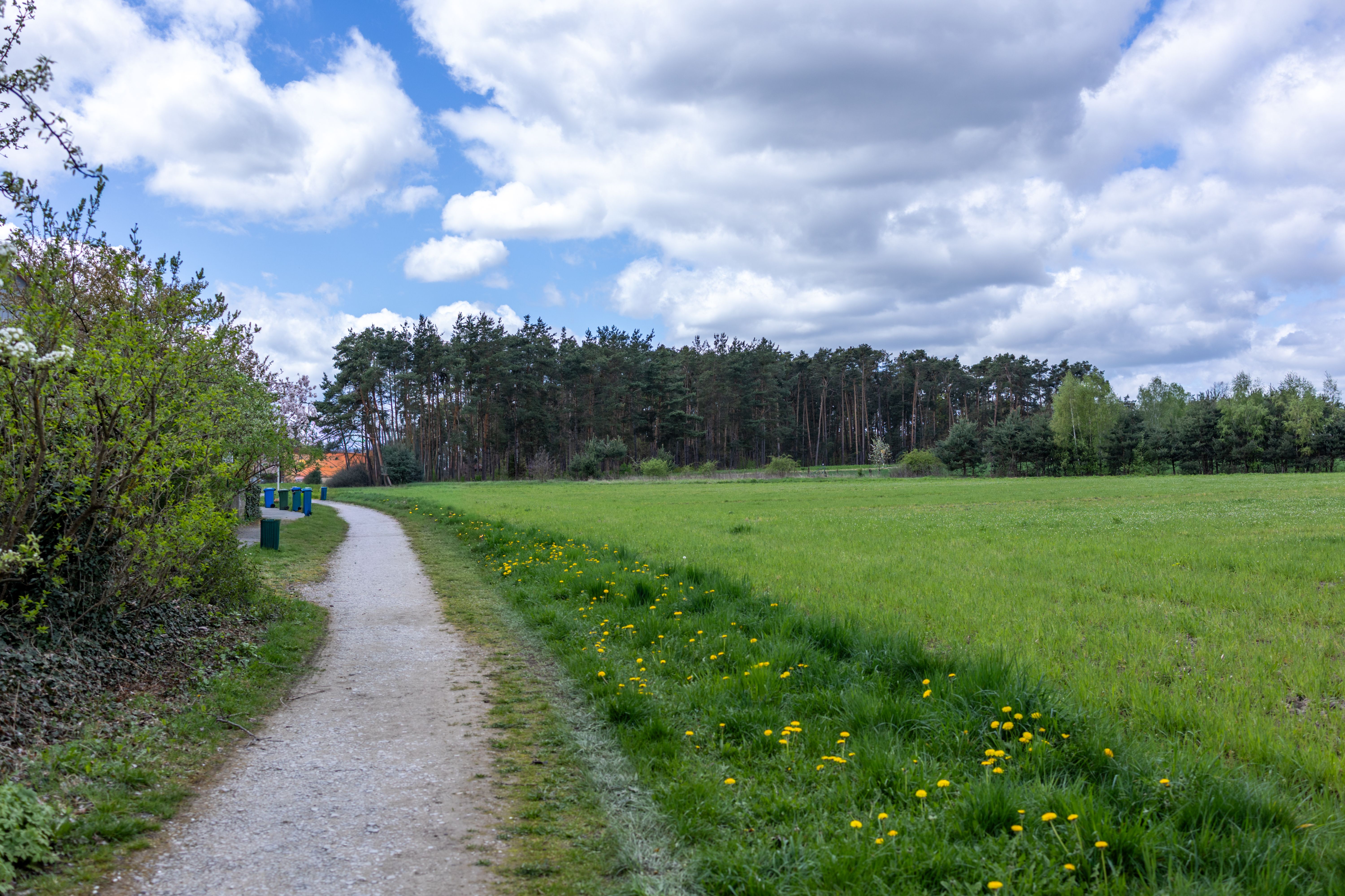 Cozy Furnished Family Home With Garden – Quiet Location Close To Erlangen - 1