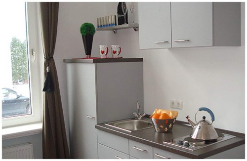 Stylish 2-room apartment in an art nouveau house at the park & within walking distance to the city center - Gallery - 11