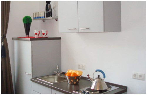 Stylish 2-room apartment in an art nouveau house at the park & within walking distance to the city center - Gallery - 10
