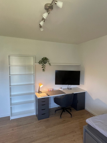 Elfriede6: fantastic renovated quiet apartment in GE for rent - Gallery - 5