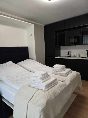 Lovely studio located in Düsseldorf with swimming pool